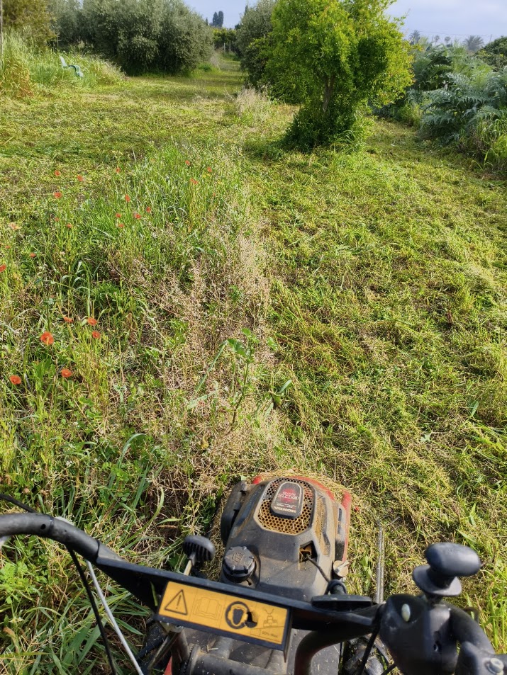 DESBROSSAMENT ELS POBLETS