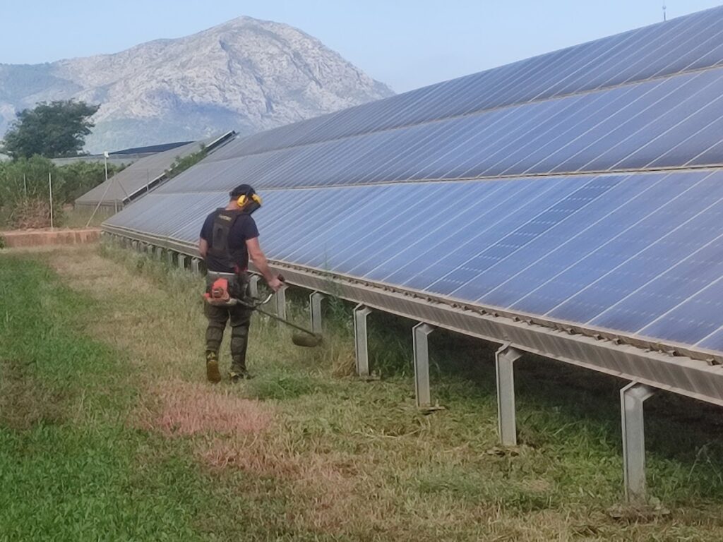 DESBROSSAMENT HORTS SOLARS I