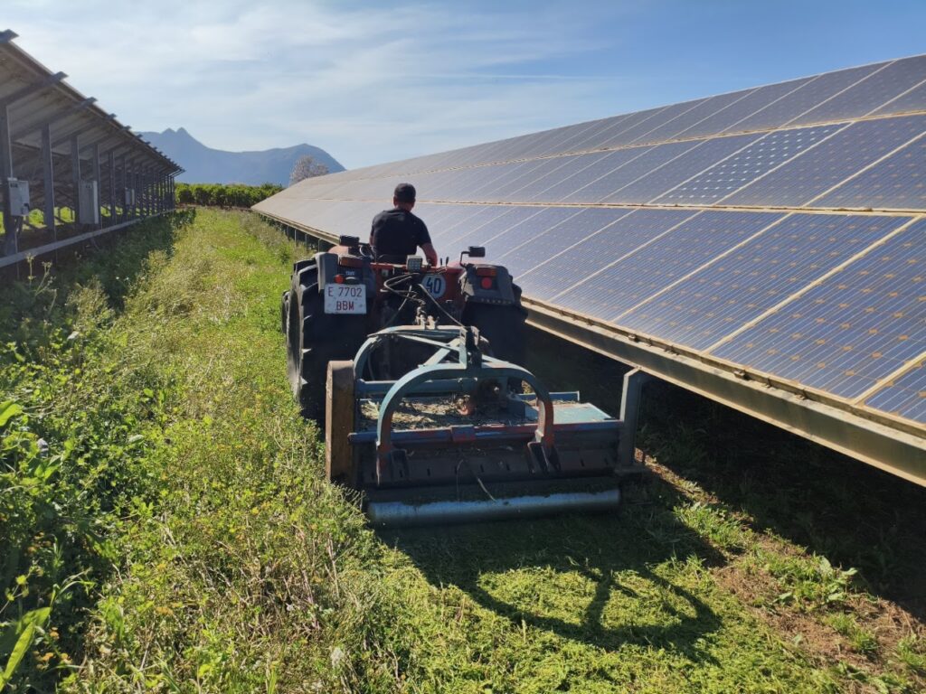 DESBROSSAMENT HORTS SOLARS III