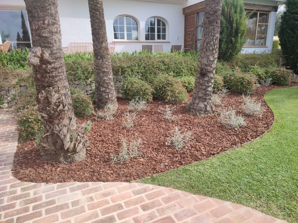 FELIP XABIA DESPRÉS