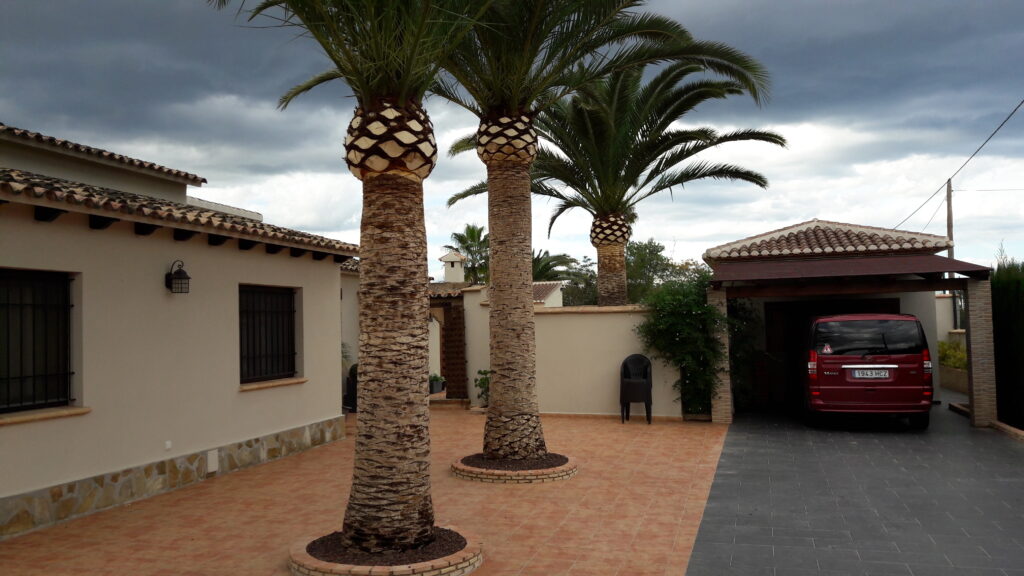 PODA PALMERES STANLEY