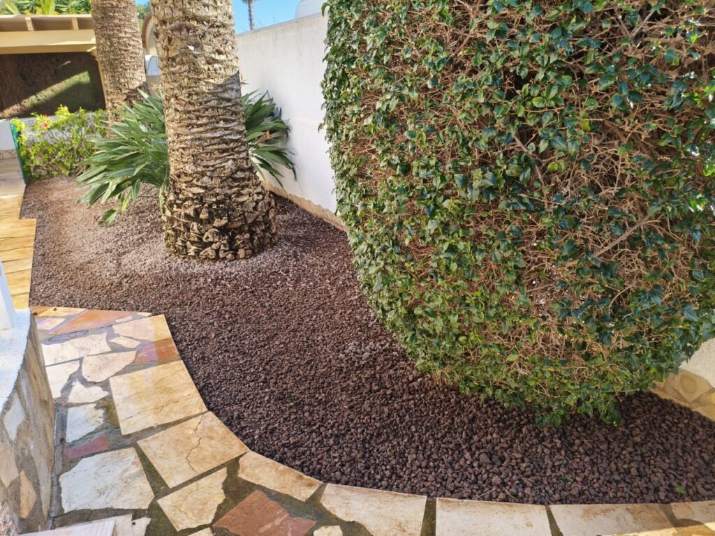 plantación arreglada