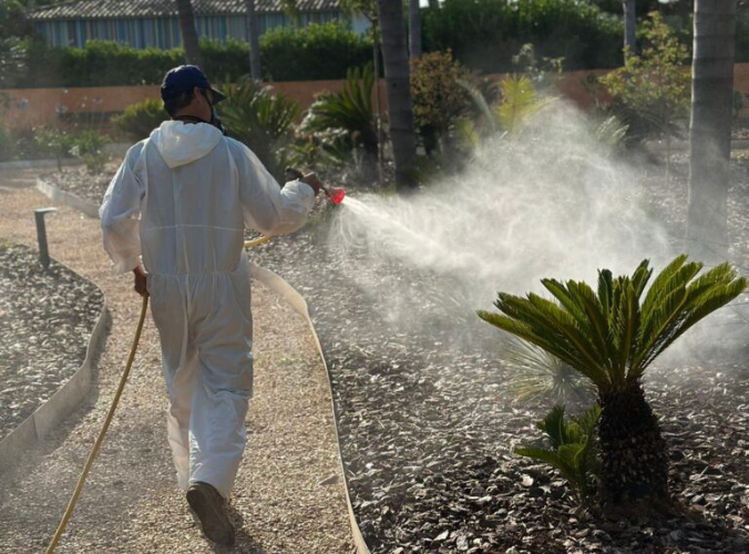 fumigación jardín